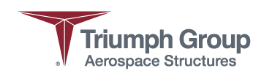 logo of triumph group